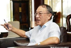 柳传志事件最新爆料,揭秘企业巨头背后的权力斗争与真相
